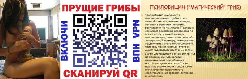 Галлюциногенные грибы Magic Shrooms  Александровск-Сахалинский 